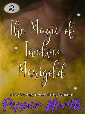 cover image of The Magic of Twelve